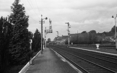 DIEU F0196 - Yvoir.jpg